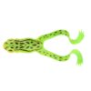 fluo-green-frog